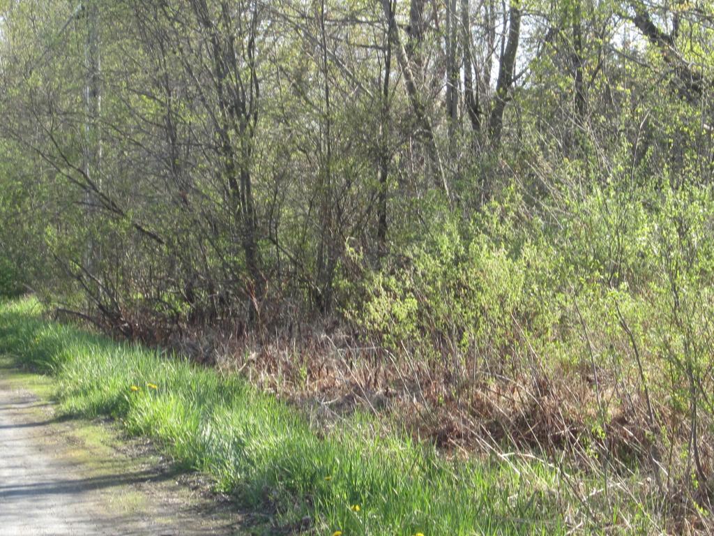 1050 Eureka Road Springfield, VT 05156 - Photo 7 of 7