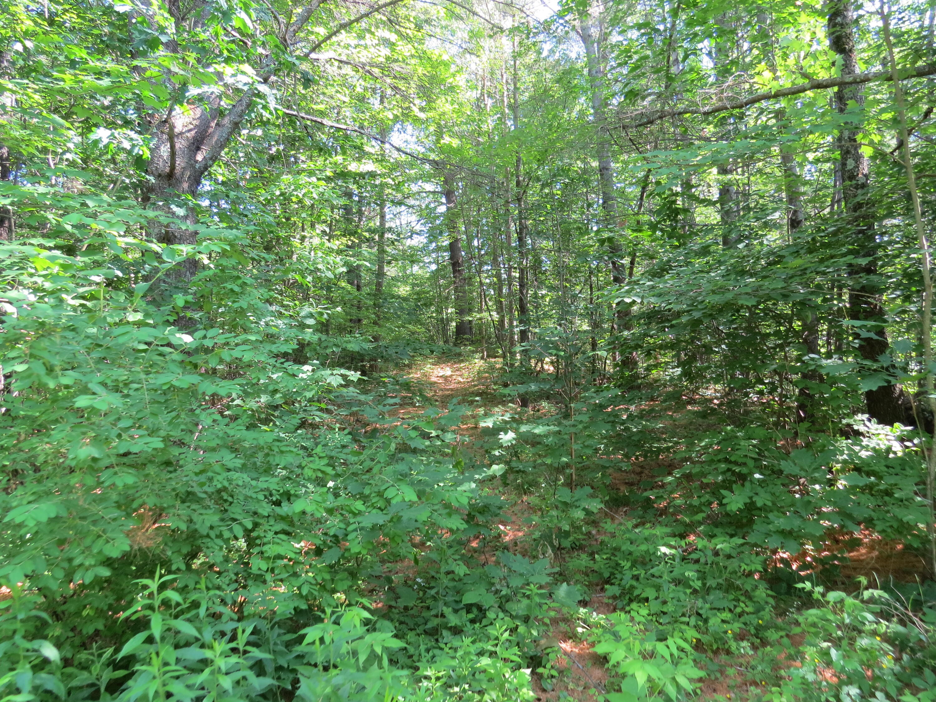 154 River Road Benton, ME 04901 - Photo 10 of 23 IMG_0013