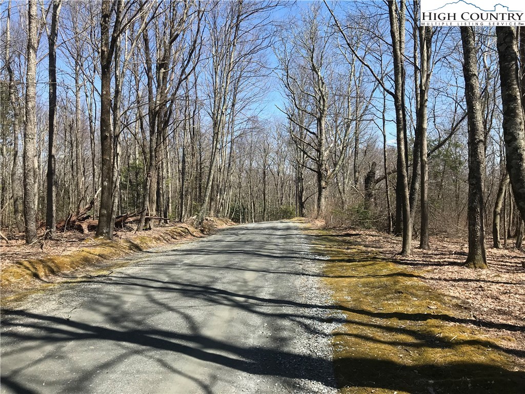 15-18 Hemlock Ridge Road Blowing Rock, NC 28605 - Photo 6 of 9 Gallery Image 6