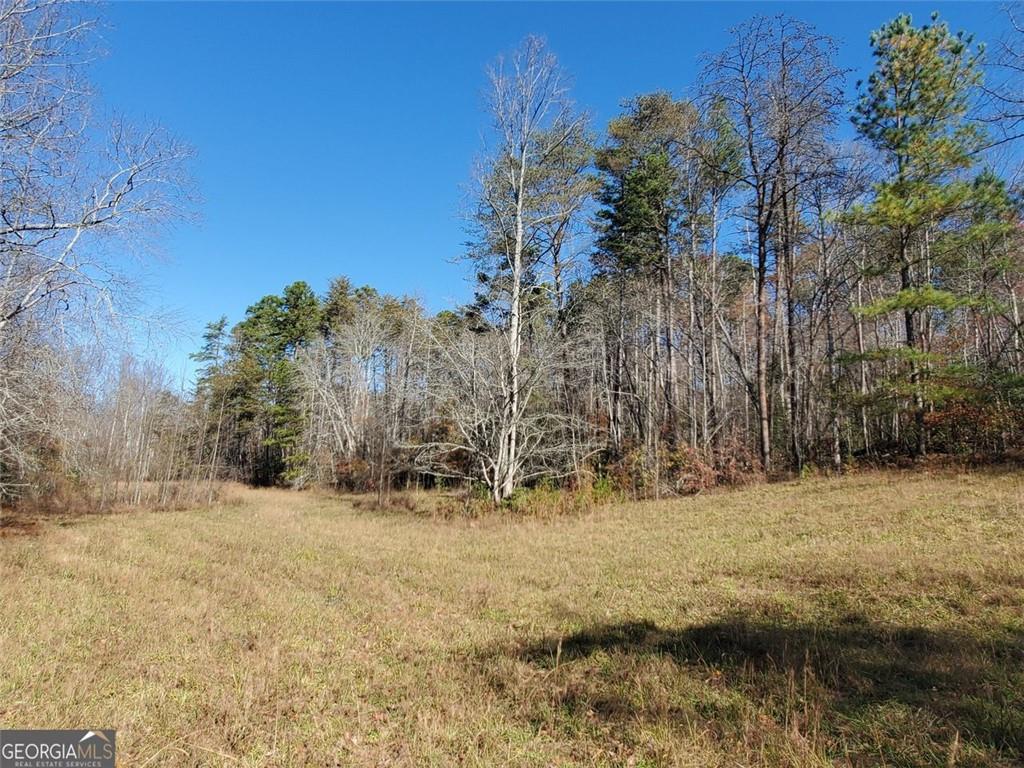 1116 Cody Road Mount Airy, GA 30563 - Photo 12 of 39 a view of water covered with trees