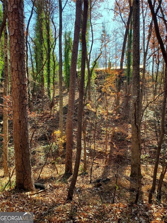 1116 Cody Road Mount Airy, GA 30563 - Photo 2 of 39