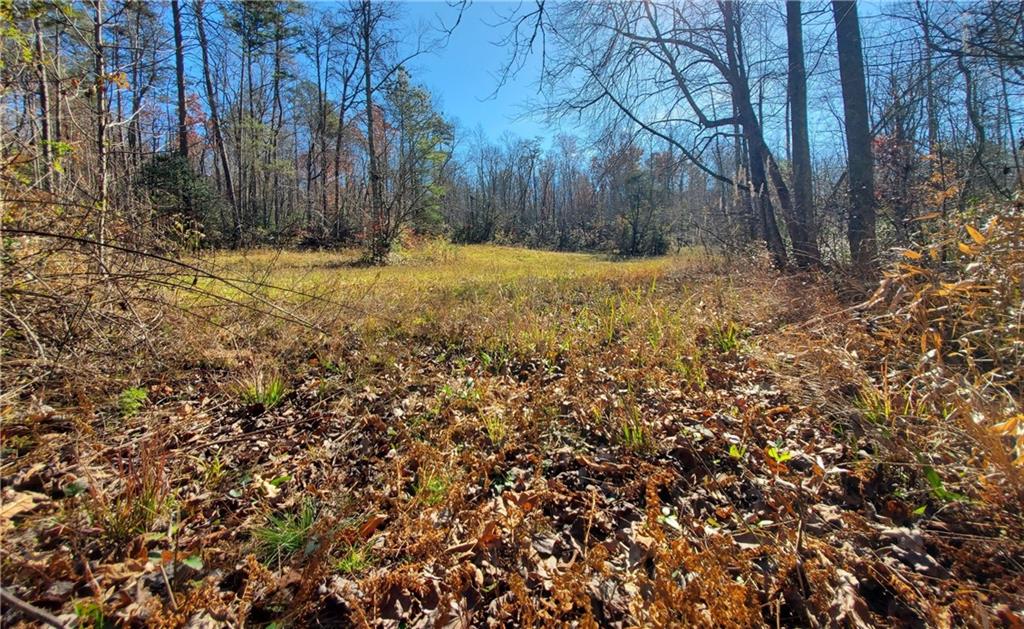 1116 Cody Road Mount Airy, GA 30563 - Photo 28 of 39