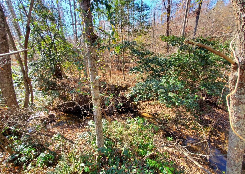 1116 Cody Road Mount Airy, GA 30563 - Photo 29 of 39