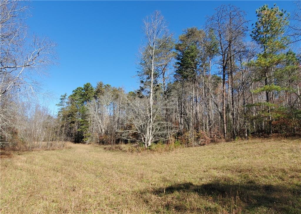 1116 Cody Road Mount Airy, GA 30563 - Photo 30 of 39