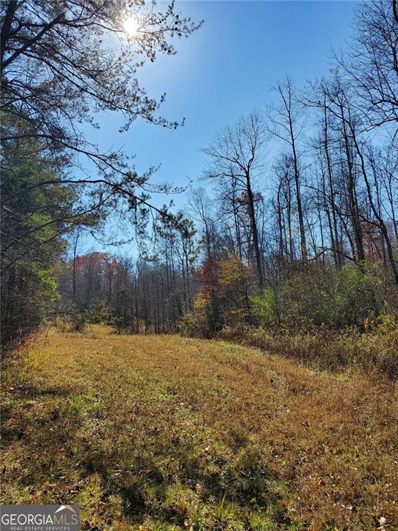 1116 Cody Road Mount Airy, GA 30563 - Photo 3 of 39 a view of backyard with green space