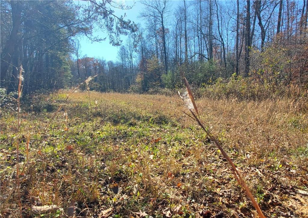 1116 Cody Road Mount Airy, GA 30563 - Photo 31 of 39