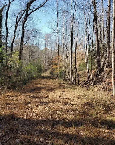 $645,000 | 1116 Cody Road, Mount Airy, GA 30563