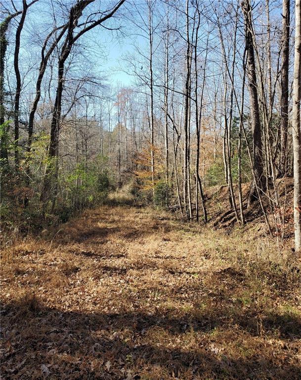 1116 Cody Road Mount Airy, GA 30563 - Photo 33 of 39