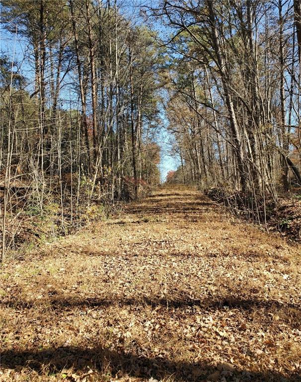 1116 Cody Road Mount Airy, GA 30563 - Photo 34 of 39