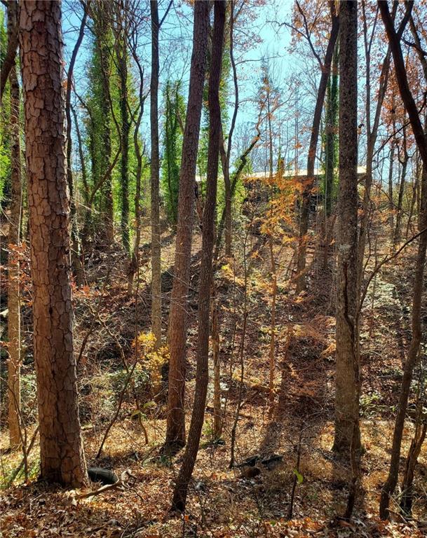 1116 Cody Road Mount Airy, GA 30563 - Photo 35 of 39