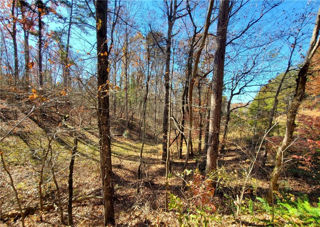 1116 Cody Road Mount Airy, GA 30563 - Photo 36 of 39