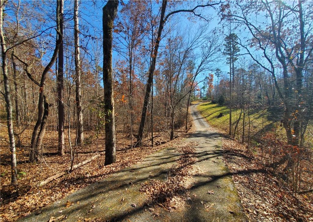 1116 Cody Road Mount Airy, GA 30563 - Photo 37 of 39