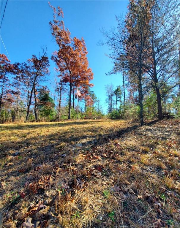 1116 Cody Road Mount Airy, GA 30563 - Photo 38 of 39