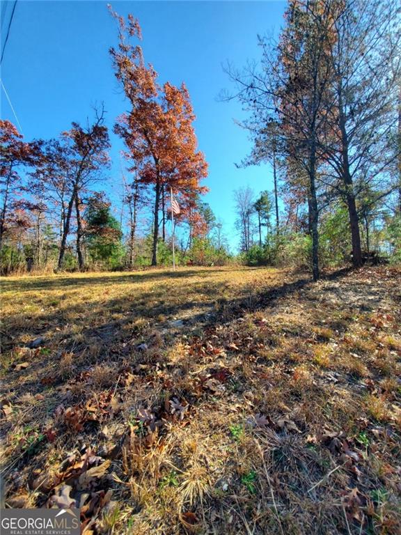 1116 Cody Road Mount Airy, GA 30563 - Photo 6 of 39 a view of dirt yard with large trees