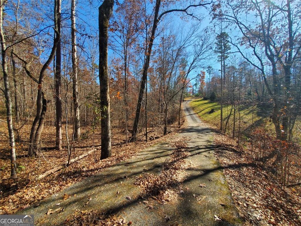 1116 Cody Road Mount Airy, GA 30563 - Photo 7 of 39 a view of park