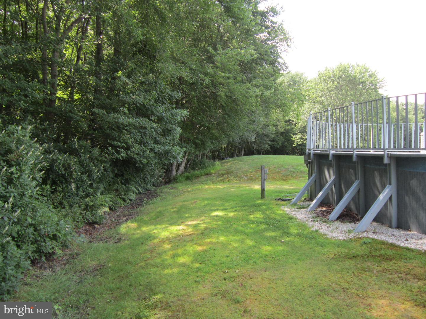 276 Stockton Bridge Road Pemberton, NJ 08068 - Photo 5 of 6 Back Yard