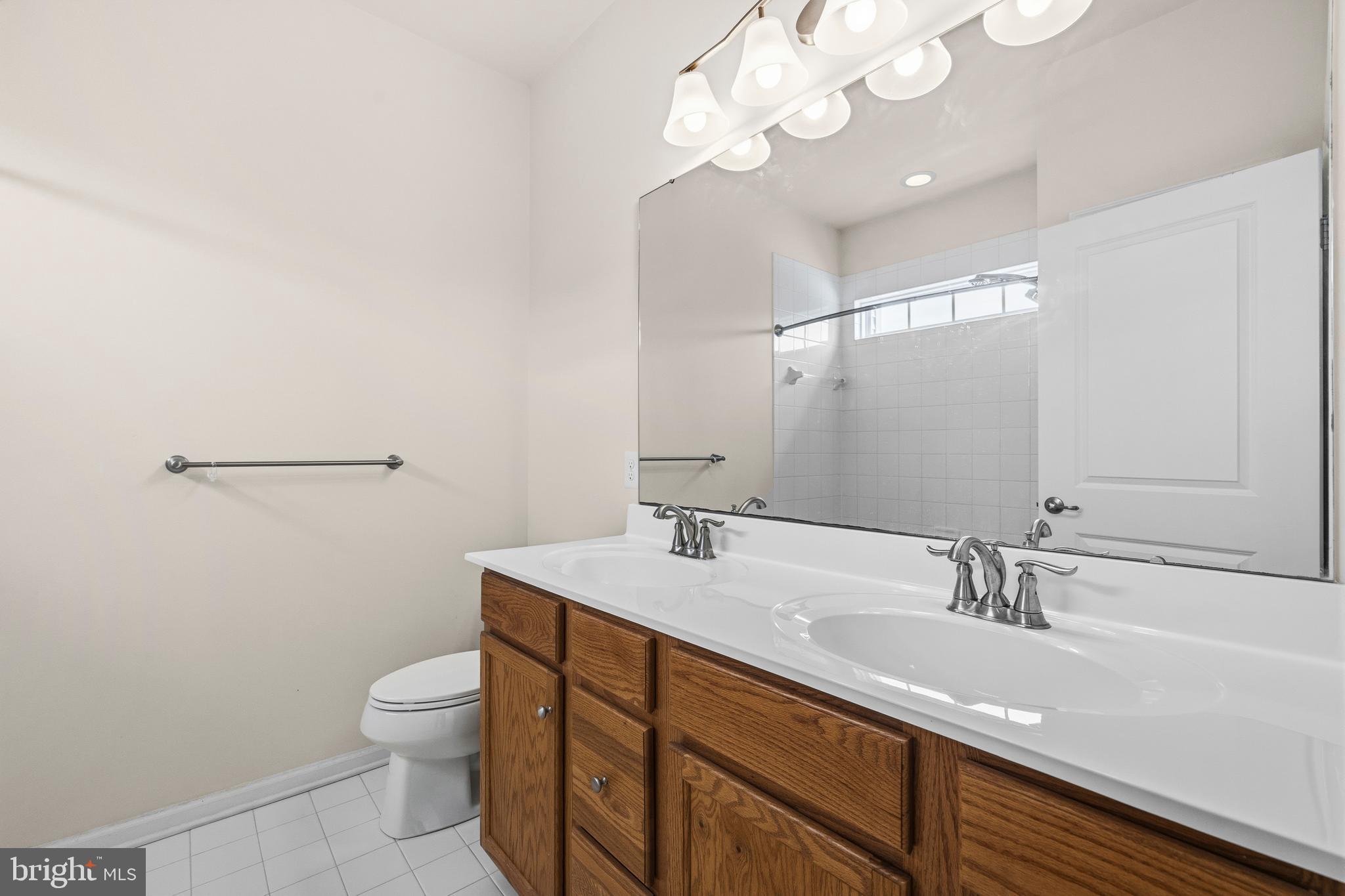 617 Potomac View Parkway Brunswick, MD 21716 - Photo 12 of 48 a bathroom with a sink a toilet and a mirror