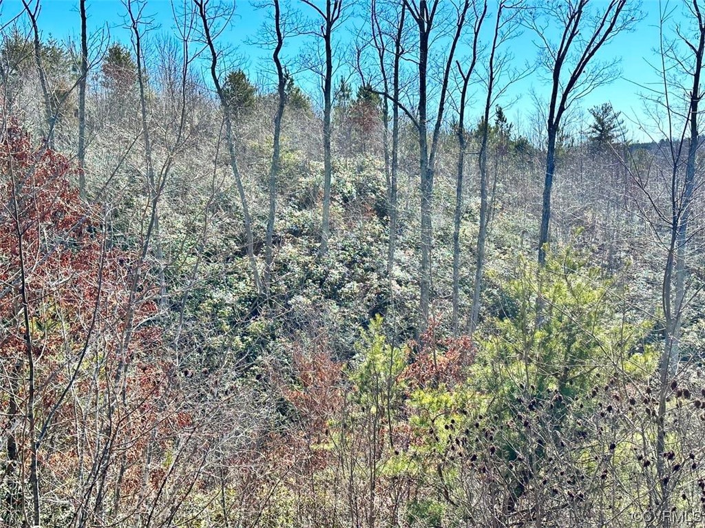 0 Woodland Church Road Buckingham, VA 23921 - Photo 10 of 49 Gallery Image 10