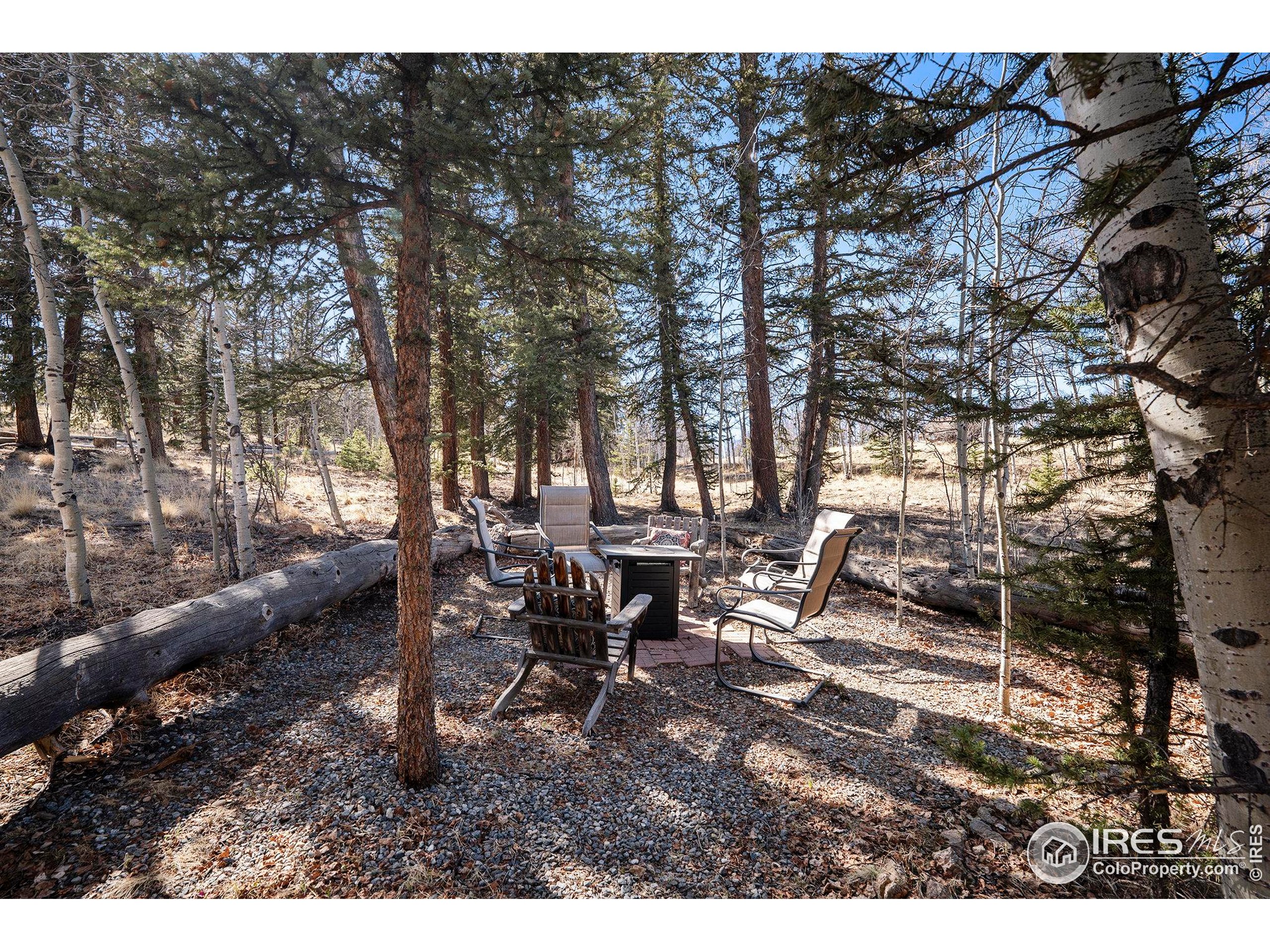 654 Piaute Way Como, CO 80432 - Photo 24 of 25 a backyard of a house with table and chairs