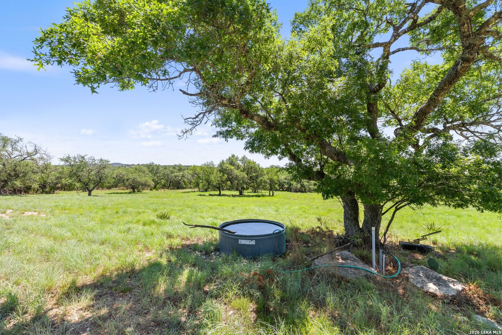 7855 Middle Creek Road Blanco, TX 78606 - Photo 45 of 57 a view of a garden with trees