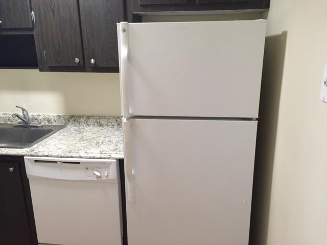 4850 Northeast 5th Avenue, Unit 108 Boca Raton, FL 33431 - Photo 9 of 16 Fridge