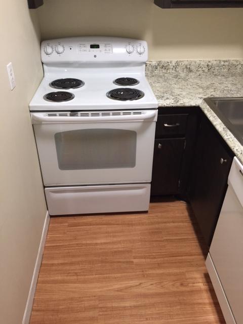 4850 Northeast 5th Avenue, Unit 108 Boca Raton, FL 33431 - Photo 10 of 16 Stove