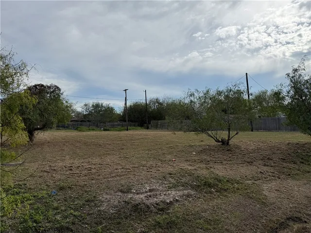 a view of a field with trees in the background
