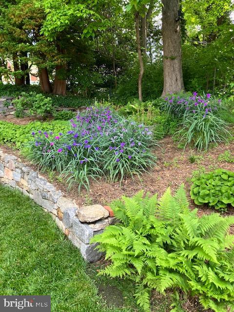 173 Hillview Drive Springfield, PA 19064 - Photo 44 of 50 a view of a garden with a fountain