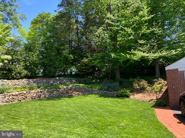 173 Hillview Drive Springfield, PA 19064 - Photo 45 of 50 a view of yard with green space