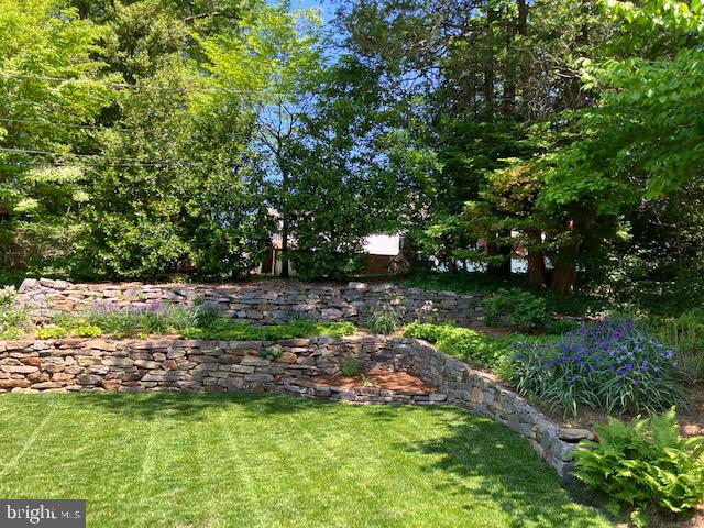 173 Hillview Drive Springfield, PA 19064 - Photo 46 of 50 a view of yard with green space