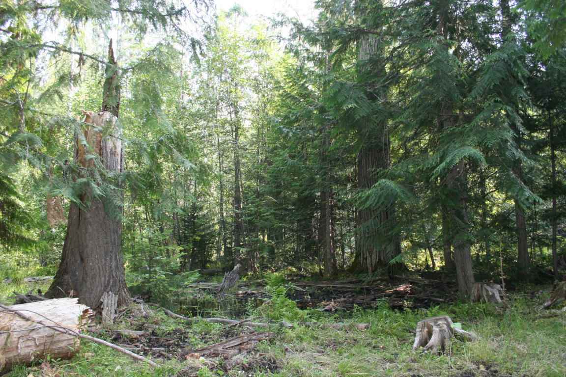 Xxx Smackout Pass Road Ione, WA 99139 - Photo 12 of 13 Gallery Image 12
