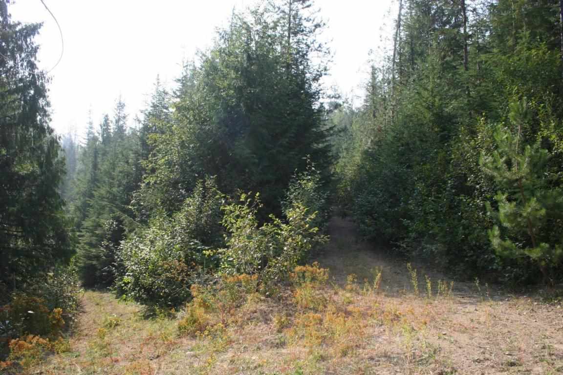 Xxx Smackout Pass Road Ione, WA 99139 - Photo 3 of 13 Gallery Image 3