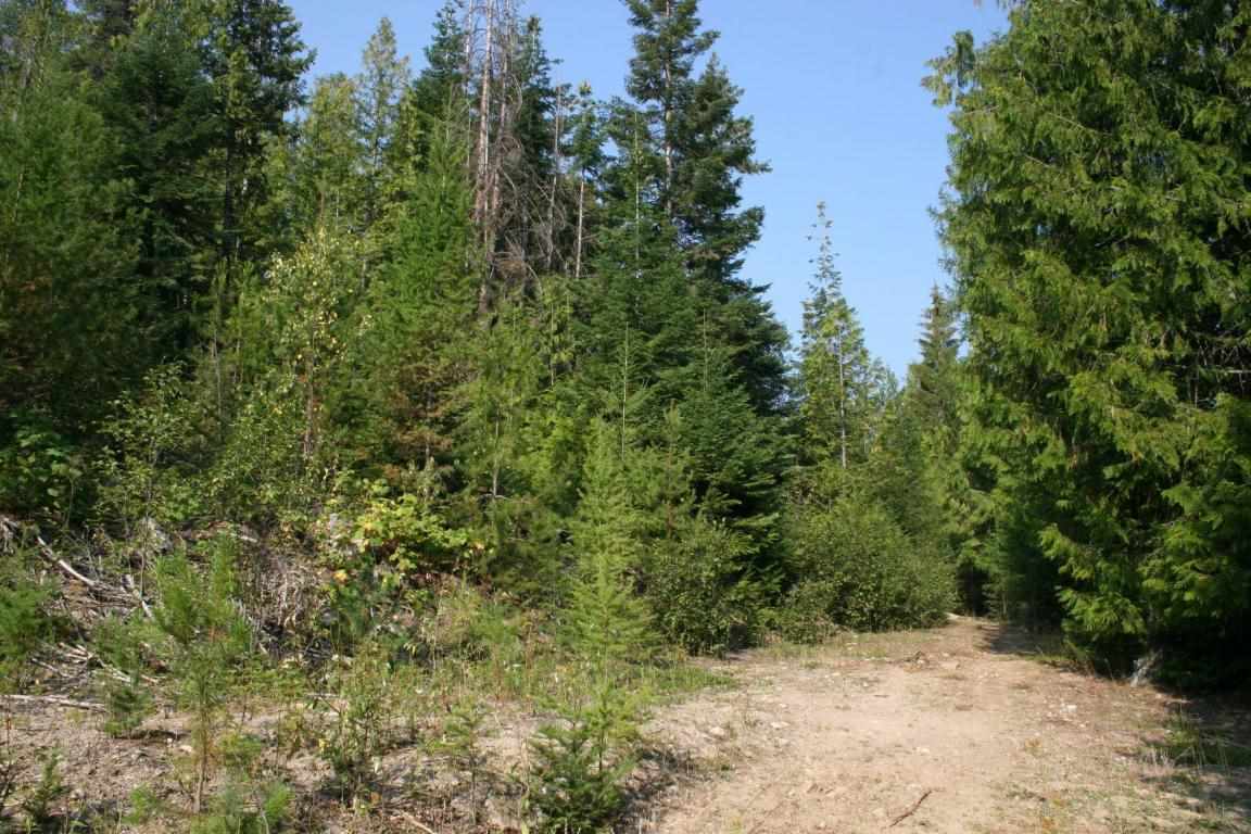 Xxx Smackout Pass Road Ione, WA 99139 - Photo 6 of 13 Gallery Image 6