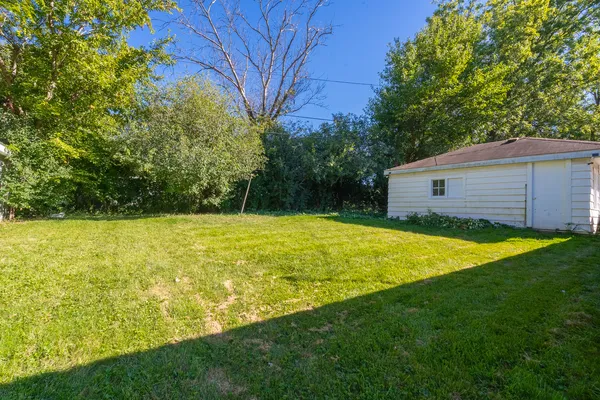 a view of a backyard with a large tree
