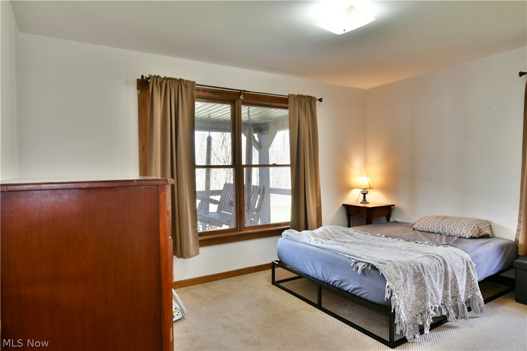 6570 Spencer Clark Road Fowler, OH 44418 - Photo 22 of 49 Bedroom featuring light carpet