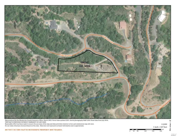 a black and white photo of a garden