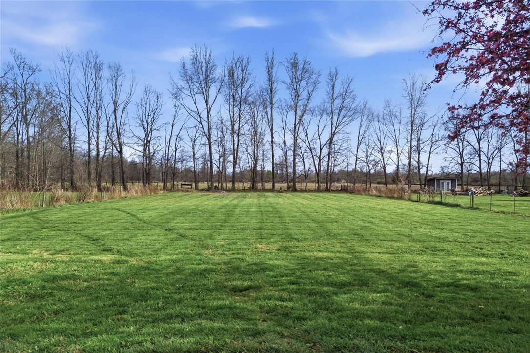8747 Waynes Way Blanchester, OH 45107 - Photo 30 of 40 Expansive green lawn extends towards a backdrop of trees, offering peaceful outdoor living.