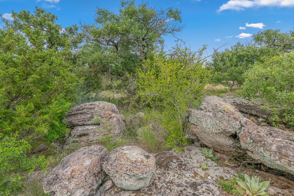 41 Rocksprings Tx 78880 Rocksprings, TX 78880 - Photo 33 of 62