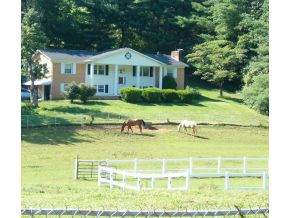land for horses