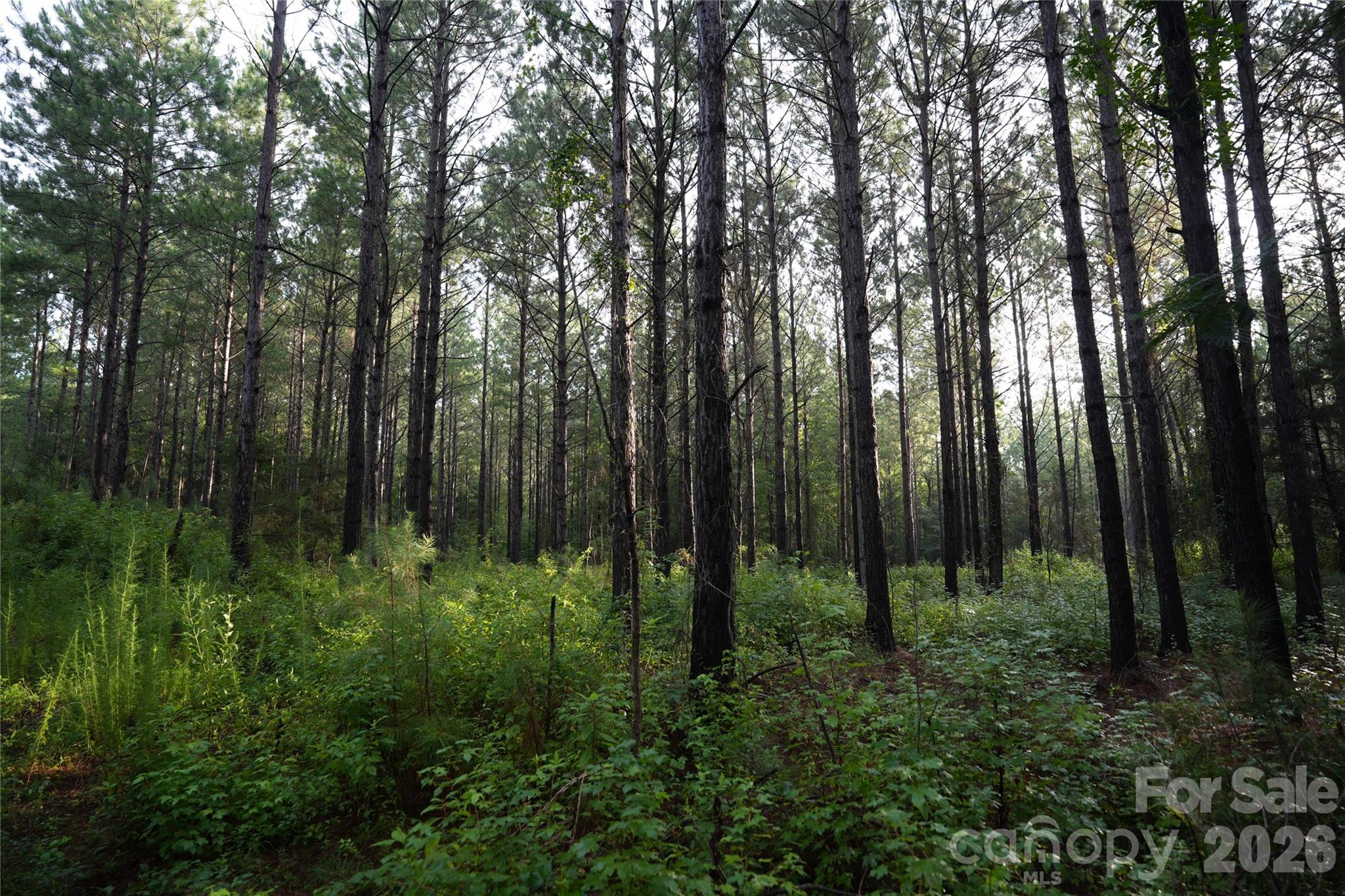 0 Bobby Faucette Road, Unit 8 Jonesville, SC 29353 - Photo 6 of 20 Gallery Image 6