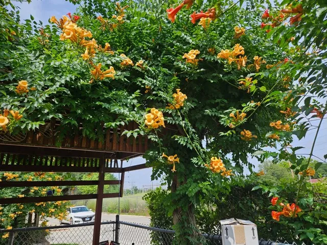 $455,000 | 7742 Kolmar Avenue, Skokie, IL 60076