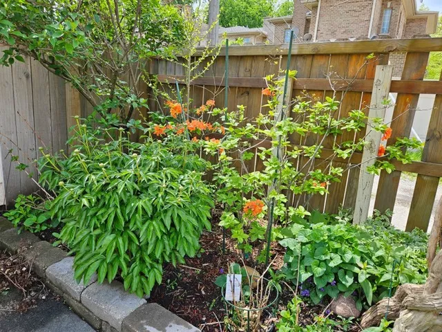 $455,000 | 7742 Kolmar Avenue, Skokie, IL 60076