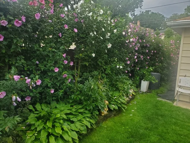 $455,000 | 7742 Kolmar Avenue, Skokie, IL 60076