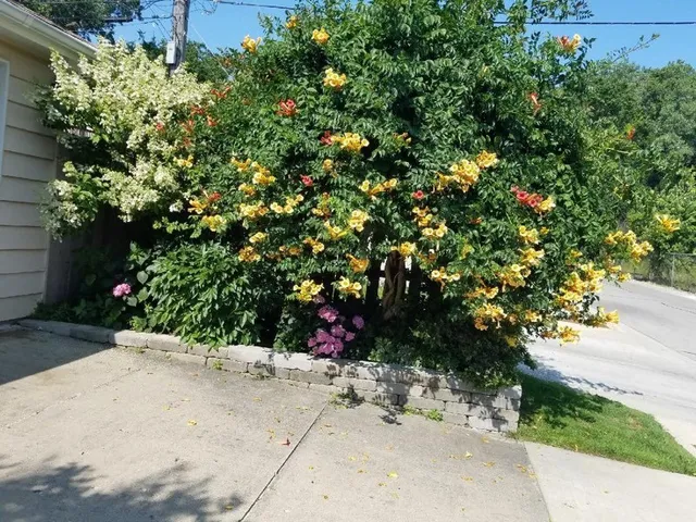 $455,000 | 7742 Kolmar Avenue, Skokie, IL 60076