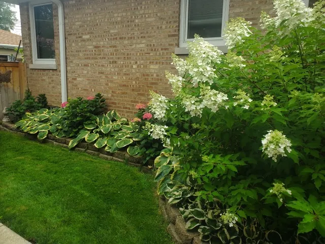 $455,000 | 7742 Kolmar Avenue, Skokie, IL 60076