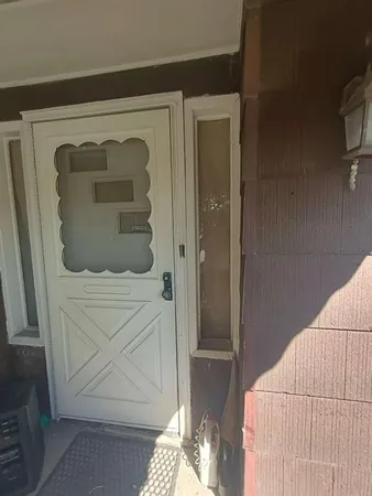 a view of a yard with plants and large trees
