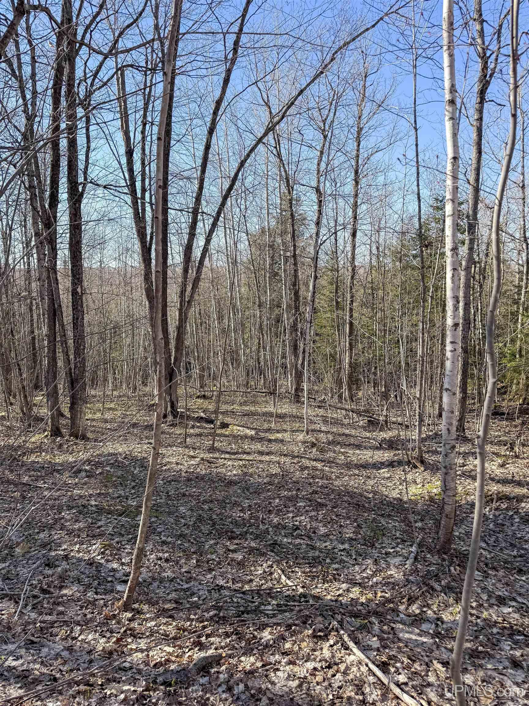 Tbd Ridgecrest Drive Dollar Bay, MI 49922 - Photo 32 of 37