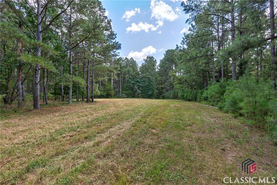 0 Paradise Hogan Road Lexington, GA 30648 - Photo 7 of 38