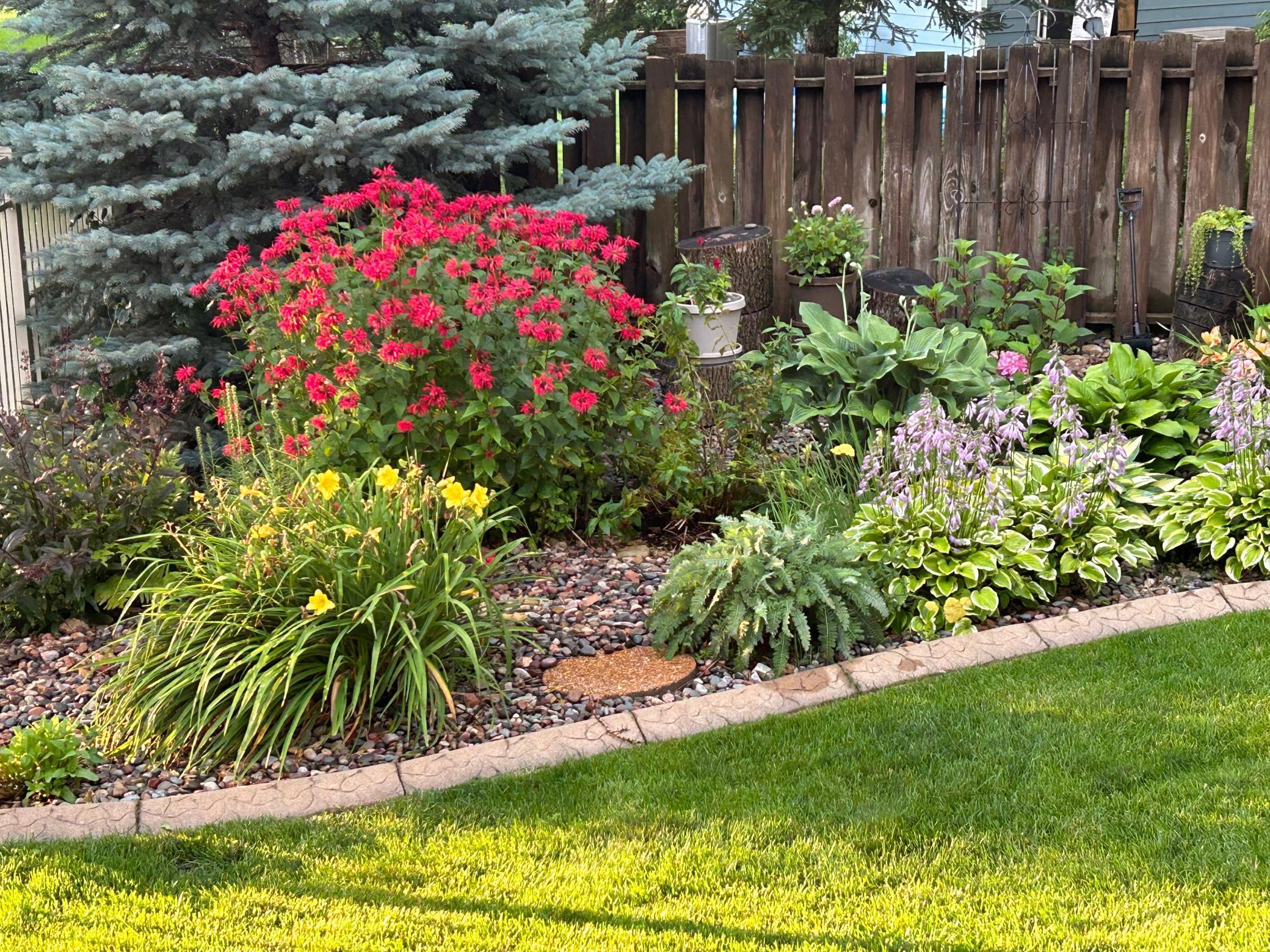 917 Northway Lane Northeast Rochester, MN 55906 - Photo 35 of 41