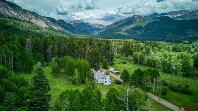 a view of a lush green forest with lots of trees